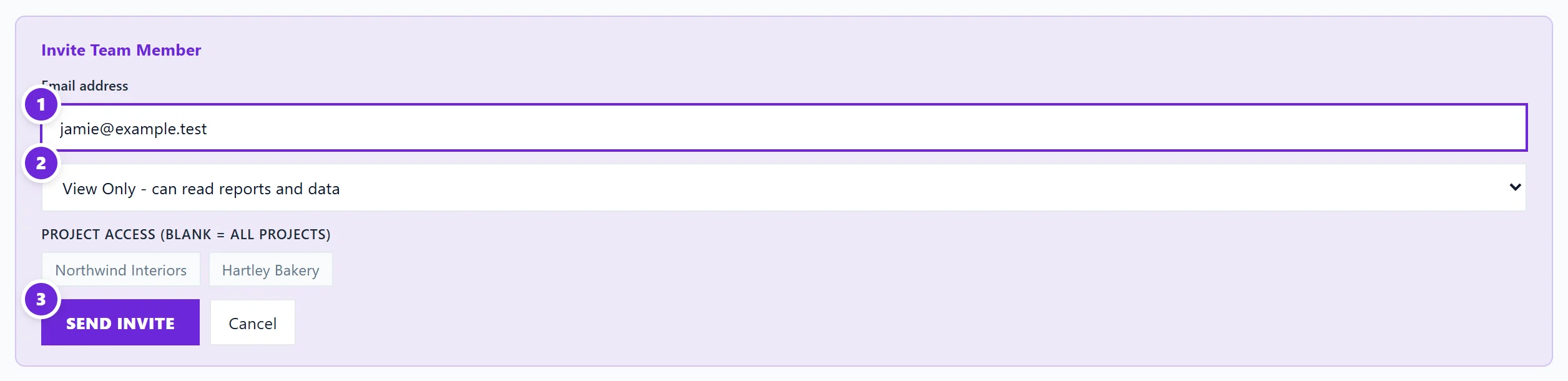 The Invite Team Member form with the role list